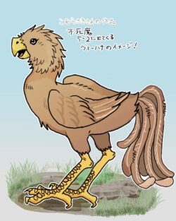 20250612ぶいさん鳥ちゃん